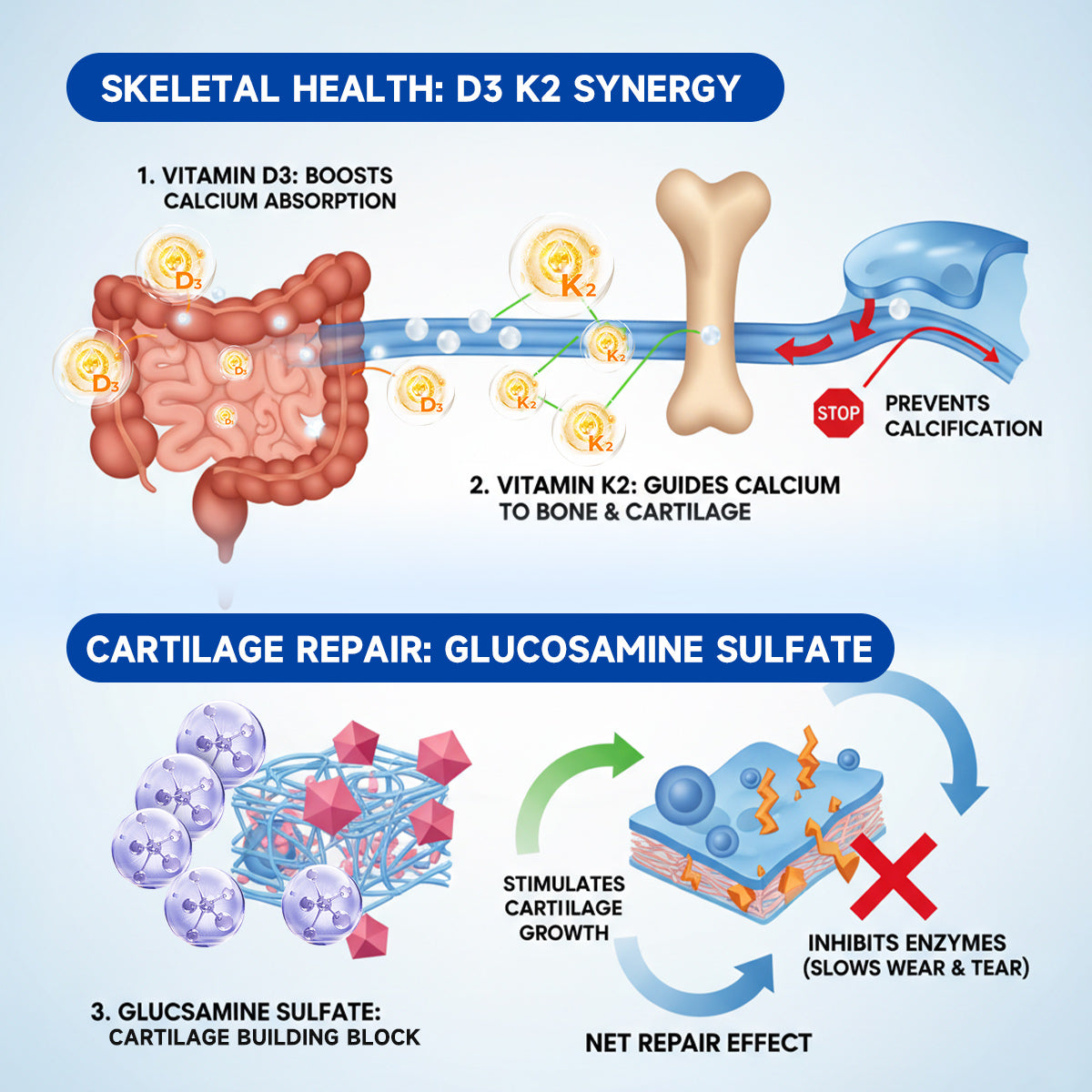 🌿🏃‍➡️Zvoevo® BPC-157 Stabilized-Peptide Joint Recovery Oral Liquid - ✅Clinically Co-Developed with the U.K. Peptide Research Alliance (UKPRA)